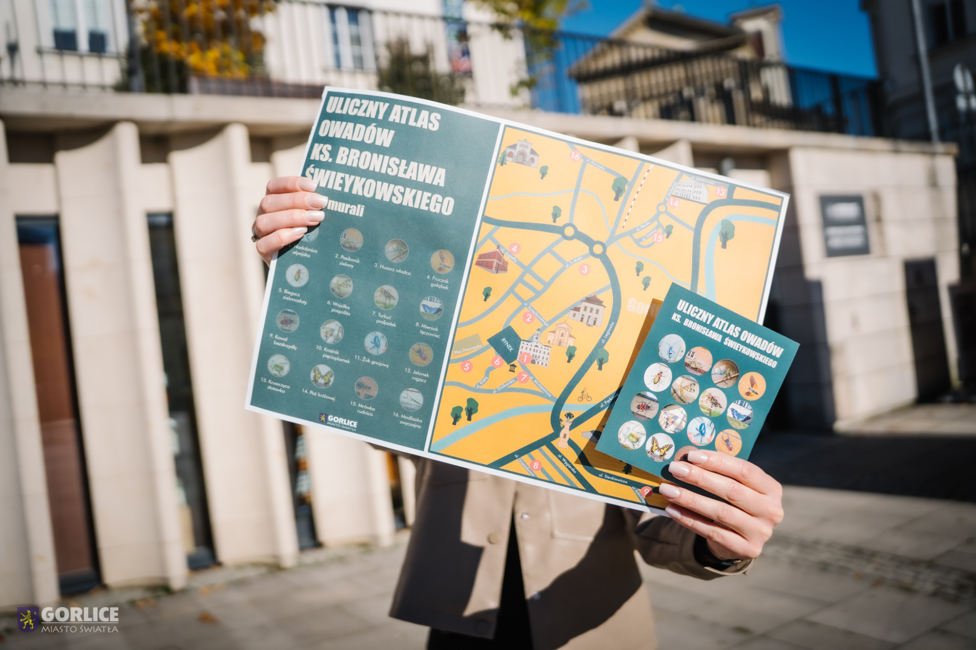 Uliczny atlas owadów - mapka z naklejkami